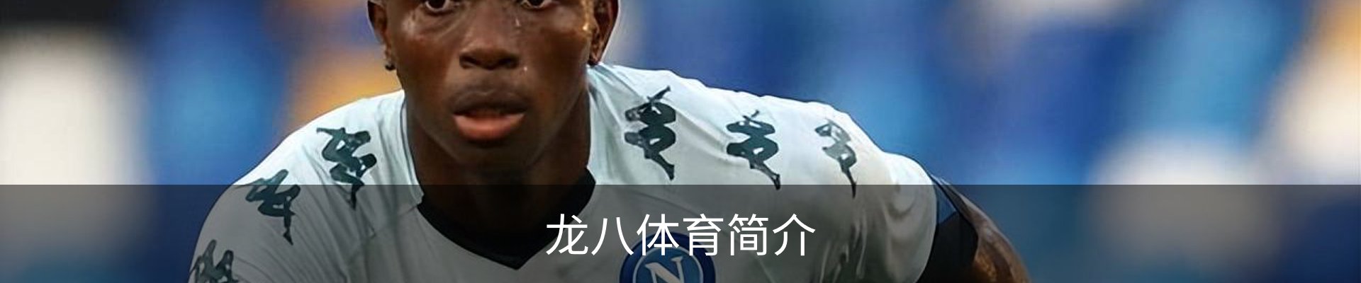 龙八体育简介